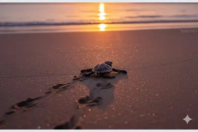 2811 S Ocean Shore Boulevard #5, Flagler Beach, FL 32136 - Photo 14