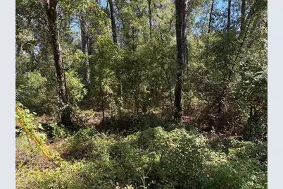 1228 Clover Terrace, Inverness, FL 34452 - Photo 1