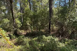 1228 Clover Terrace, Inverness, FL 34452 - Photo 1