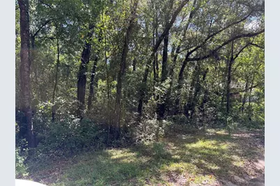 1228 Clover Terrace, Inverness, FL 34452 - Photo 4