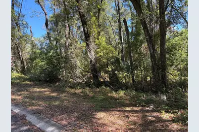 1222 Clover Terrace, Inverness, FL 34452 - Photo 2