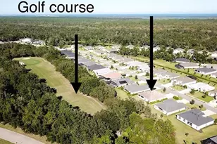 3078 Silvermines Ave, Ormond Beach, FL 32174 - Photo 6