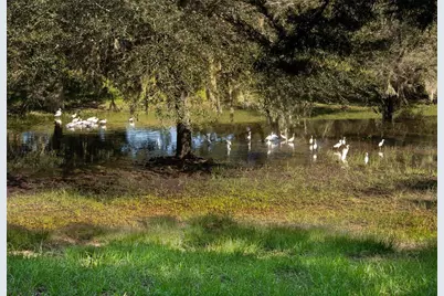 1318 Asher Court, Ormond Beach, FL 32174 - Photo 50