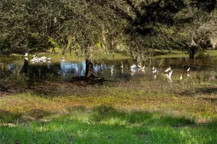 1318 Asher Ct, Ormond Beach, FL 32174 - Photo 50