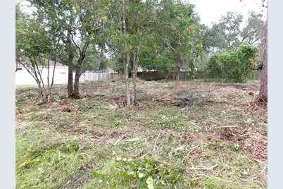 24 Lysander Lane, Palm Coast, FL 32137 - Photo 2