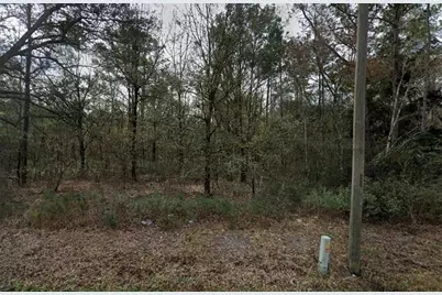 4775 Inez Street, Hastings, FL 32145 - Photo 4