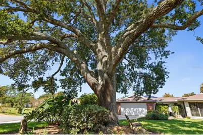 1 Flametree Court, Palm Coast, FL 32137 - Photo 50