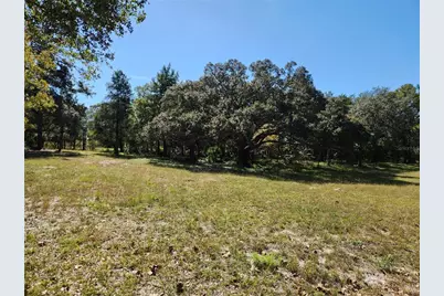 0000 Roos Lane, Deland, FL 32724 - Photo 1