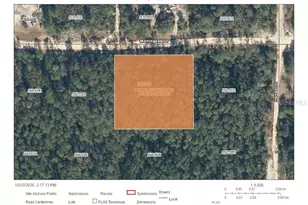 111 Morningside Dr, Florahome, FL 32140 - Photo 1