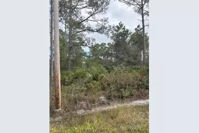 2311 Beech Boulevard, Bunnell, FL 32110 - Photo 10