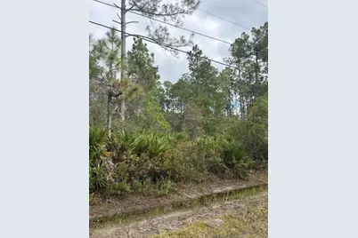 2311 Beech Boulevard, Bunnell, FL 32110 - Photo 8