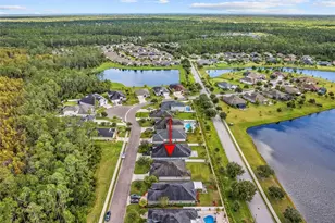 139 N Starling Dr, Palm Coast, FL 32164 - Photo 58