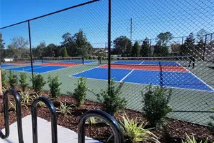 254 Hawthorn Ave, Palm Coast, FL 32164 - Photo 12