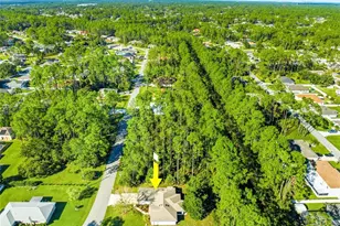 55 Rippling Brook Dr, Palm Coast, FL 32164 - Photo 52