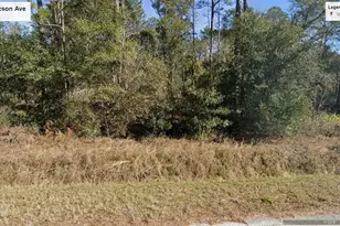 10350 Isaacson Ave, Hastings, FL 32145 - Photo 1