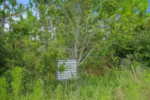 14 Fawn Hvn Trl, Ormond Beach, FL 32174 - Photo 30