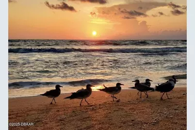 23 Sunrise Avenue, Ormond Beach, FL 32176 - Photo 18