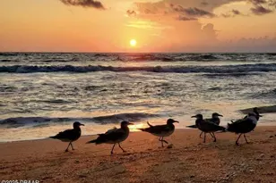 23 Sunrise Ave, Ormond Beach, FL 32176 - Photo 18