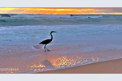 23 Sunrise Avenue, Ormond Beach, FL 32176 - Photo 20