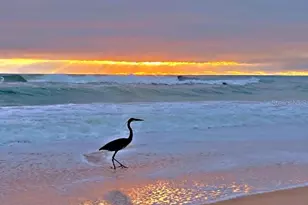 23 Sunrise Ave, Ormond Beach, FL 32176 - Photo 20