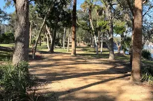 41 Riverview Bend N, Palm Coast, FL 32137 - Photo 66