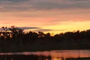 646 Hand Ave, Ormond Beach, FL 32174 - Photo 2