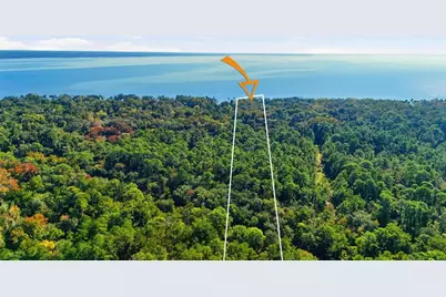 266 Drayton Island Road, Georgetown, FL 32139 - Photo 98