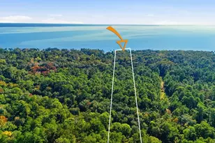 266 Drayton Island Rd, Georgetown, FL 32139 - Photo 98