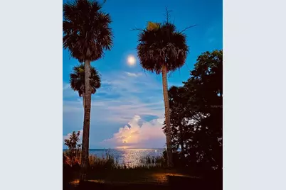 266 Drayton Island Road, Georgetown, FL 32139 - Photo 100