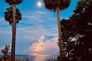 266 Drayton Island Rd, Georgetown, FL 32139 - Photo 100