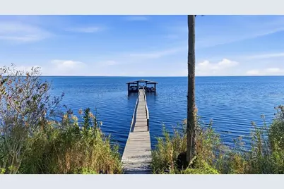 266 Drayton Island Road, Georgetown, FL 32139 - Photo 4