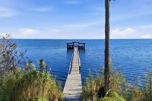 266 Drayton Island Rd, Georgetown, FL 32139 - Photo 4