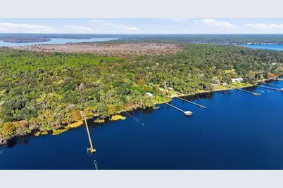 266 Drayton Island Road, Georgetown, FL 32139 - Photo 8