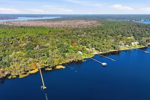 266 Drayton Island Rd, Georgetown, FL 32139 - Photo 8