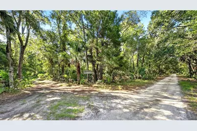 266 Drayton Island Road, Georgetown, FL 32139 - Photo 74