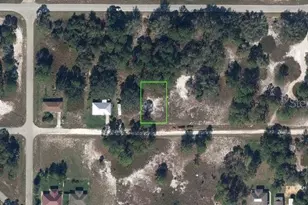 346 Morningside Dr, Lake Placid, FL 33852 - Photo 1