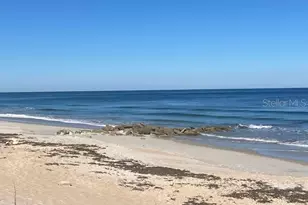 8 Laughing Gull Ln, Palm Coast, FL 32137 - Photo 64