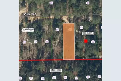 0 Unassigned Road, Interlachen, FL 32148 - Photo 4