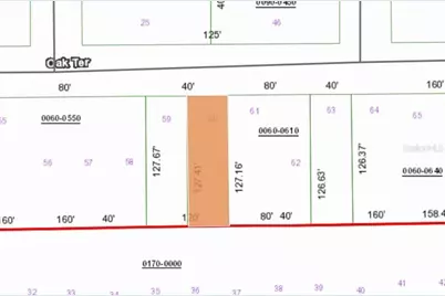 0 Unassigned Road, Interlachen, FL 32148 - Photo 2