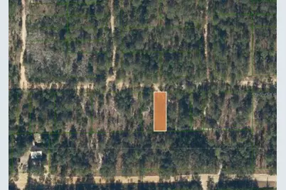 0 Unassigned Road, Interlachen, FL 32148 - Photo 8