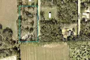 414 Bimini Ln, Bunnell, FL 32110 - Photo 20