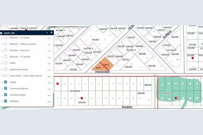 Se 4th Street, Georgetown, FL 32139 - Photo 4