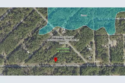 Se 4th Street, Georgetown, FL 32139 - Photo 6