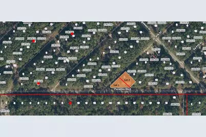 Se 4th Street, Georgetown, FL 32139 - Photo 1