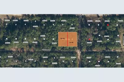 336 Gardenia Avenue, Georgetown, FL 32139 - Photo 2