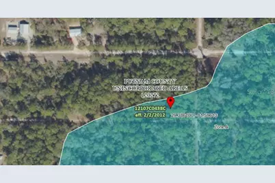 336 Gardenia Avenue, Georgetown, FL 32139 - Photo 6