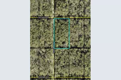 Fagan, Hastings, FL 32145 - Photo 2