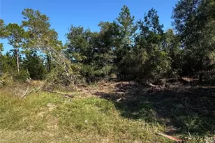 19 Freeport Ln, Palm Coast, FL 32137 - Photo 1