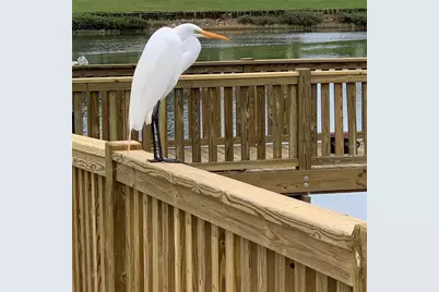 35 Riverview Bend S #1825, Palm Coast, FL 32137 - Photo 32