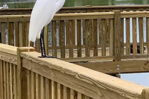 35 Riverview Bend S, Palm Coast, FL 32137 - Photo 32